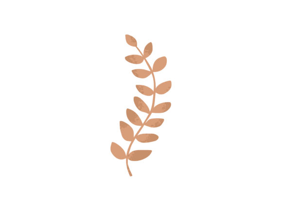 Evaluating Trendy Nature Texture Plant Tropical Assets for Modern Design