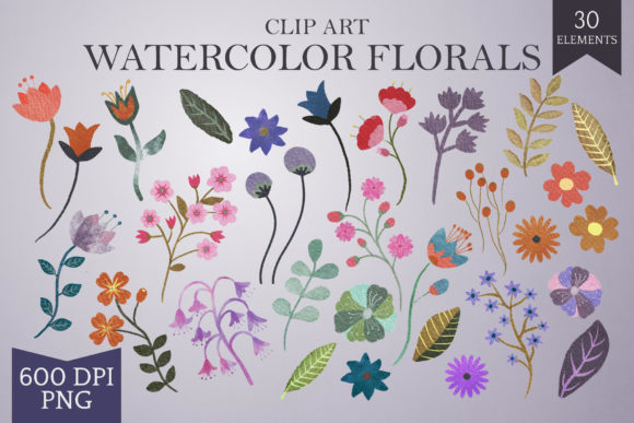 Hand-drawn Watercolor Floral Elements for Design